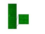 Fig. 4: Protein Chip high throughput screen