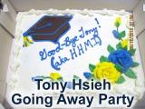 Tony Hsieh Going Away Party - cake