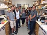 2017 Lab Group in the lab