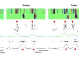 Investigation of Reciprocal Inter-Regional Neural Dynamics