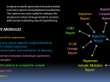 VDJ Server infographic