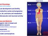 Estrogen Action in Health, Disease, and Medicine