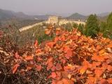 Fall at the Great Wall near Badaling