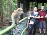 Heling Zhou and Josh Greer and a macaque