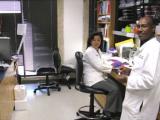 Two lab members working in the lab
