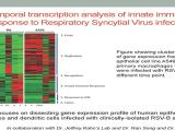 Temporal transcription analysis