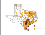 Counties served through our CPRIT Dallas/South Texas program