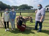 Four people, wearing pandemic masks, next to an outdoor paddock with a miniature donkey