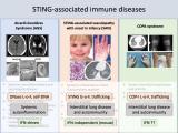 STING Associated Human Diseases