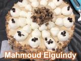 Mahmoud Elguindy Thesis Defense, June 2021