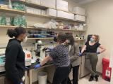 Members of the Beckham lab working at the bench