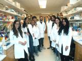 All together in the lab