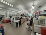 NS6 lab space
