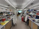 NS6 lab space