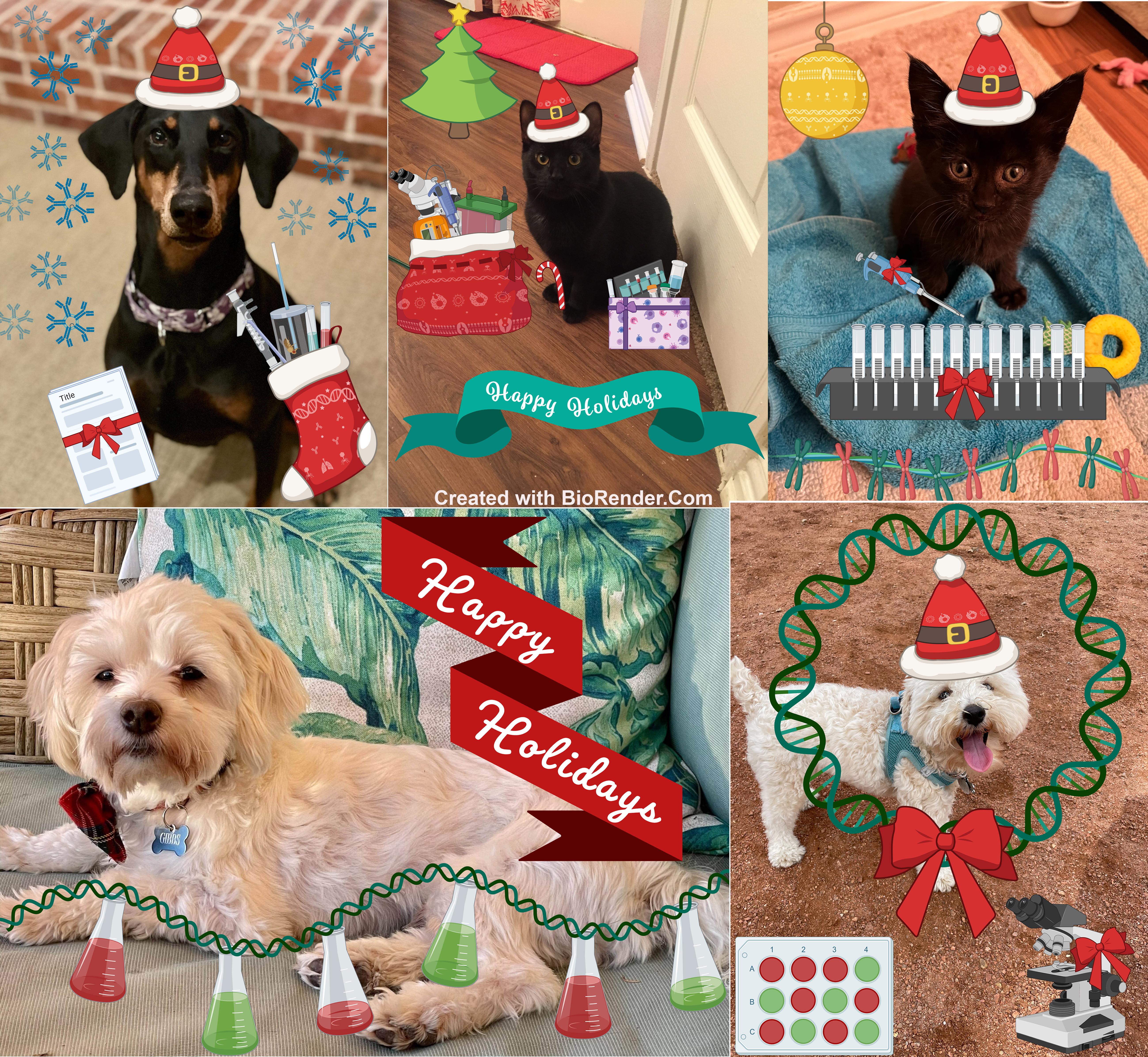 Happy Holidays from the Wert Lab Support Team