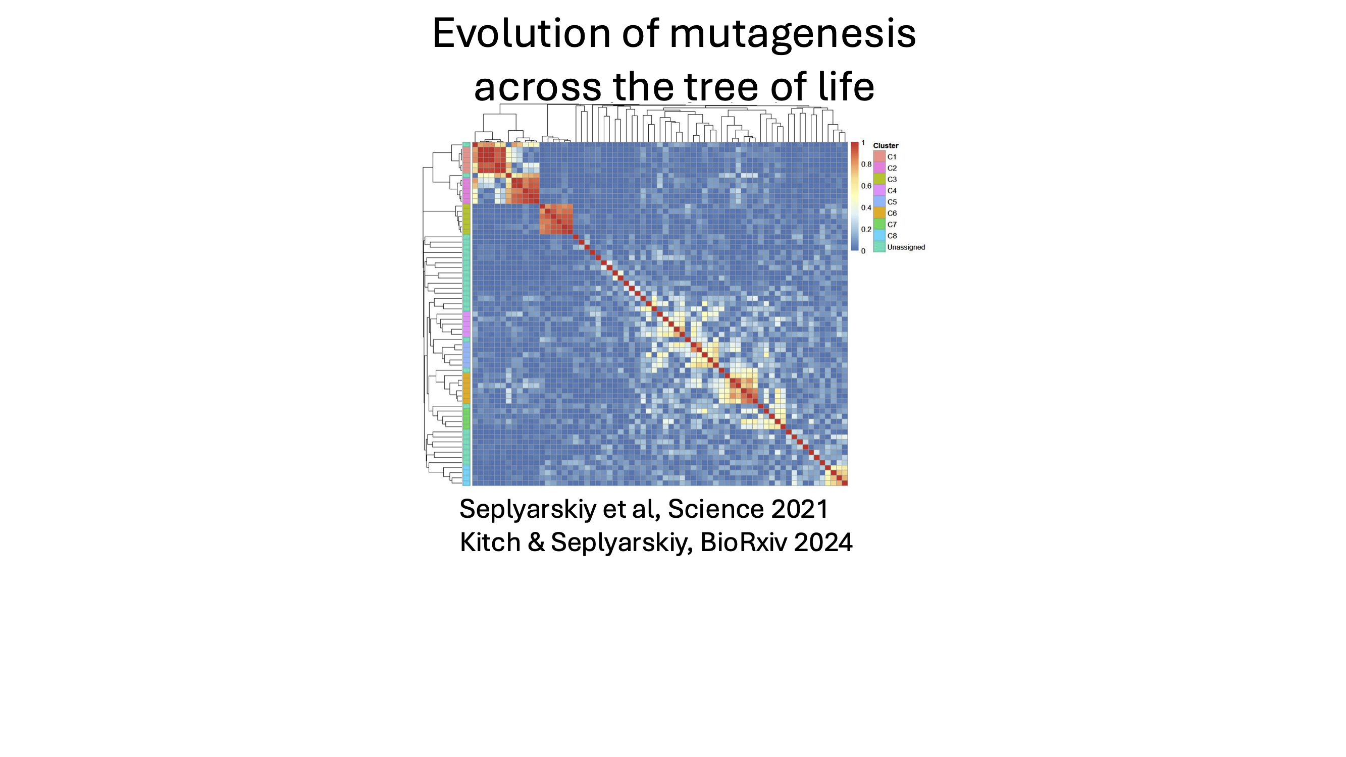 Evolution of mutagenesis across the tree of life
