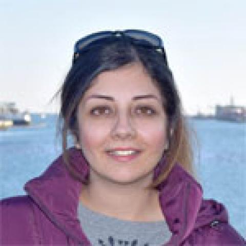 Mahsa Malekmohammadi, Ph.D.