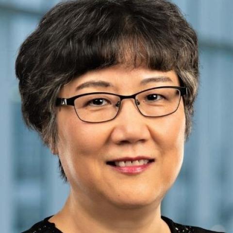 Hanli Liu, Ph.D.