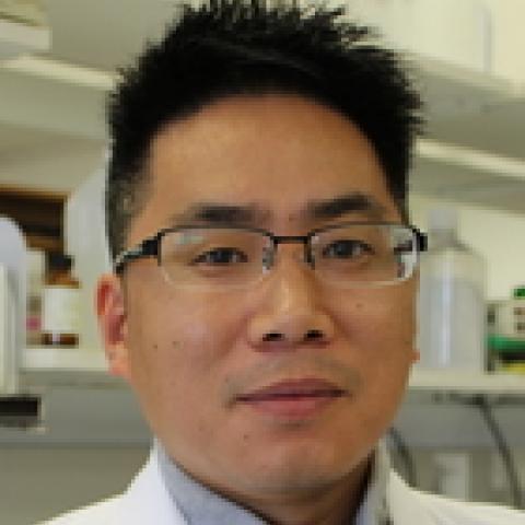 Huiming Lu, Ph.D.