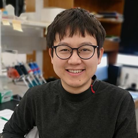 Xiaoyao Yang, Ph.D.