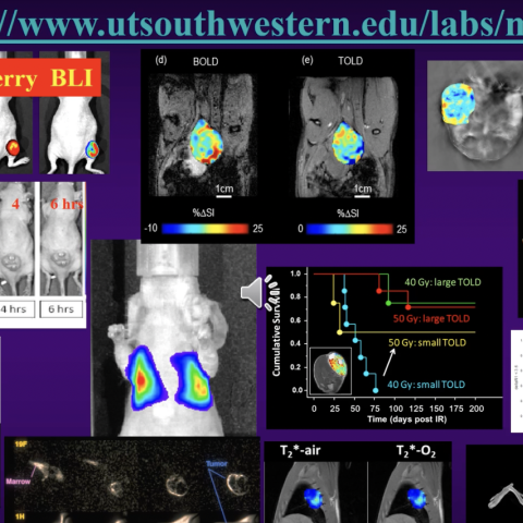 Predictive Imaging Research Lab