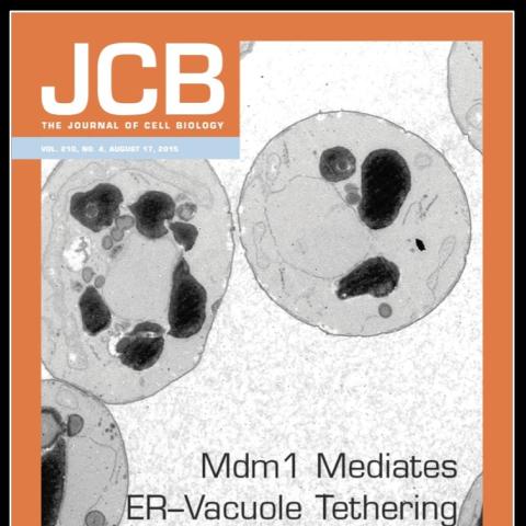 The Journal of Cell Biology cover