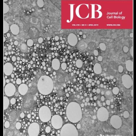 Journal of Cell Biology cover