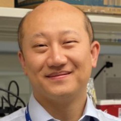 Xiaosong Meng, M.D., Ph.D.