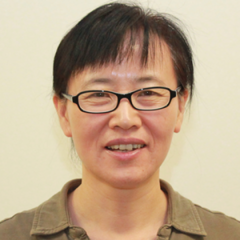 Xiangmei Kong, M.D., M.S.