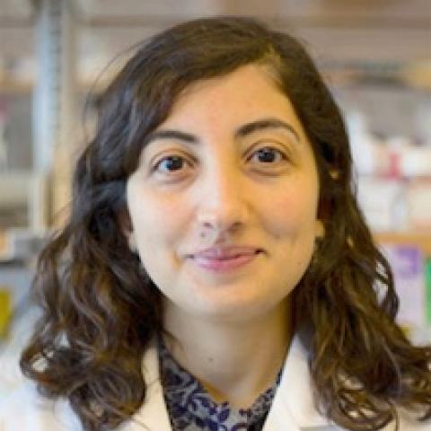 Esra Akbay, Ph.D.