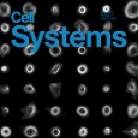 Cell systems cover