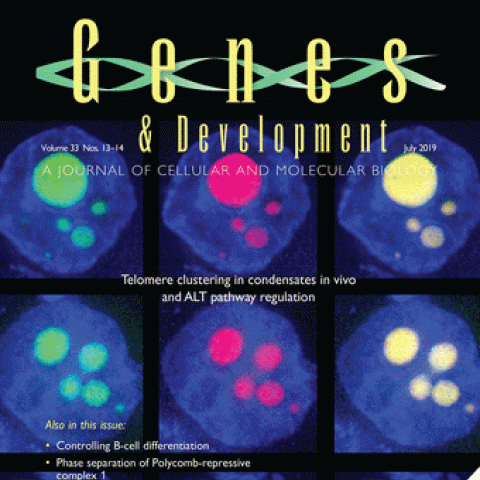 July 2019 Genes & Development cover