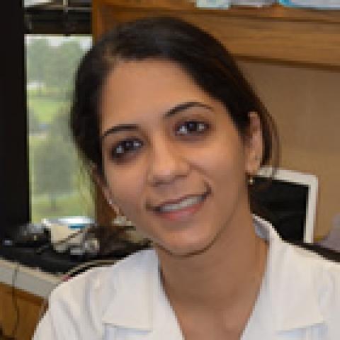 Shaheen Khan, Ph.D.