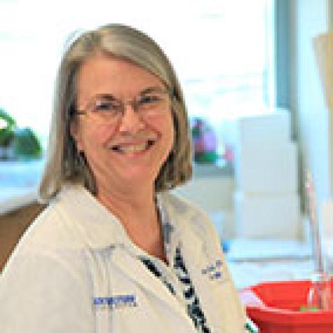 Dana "Kim" Reed, Ph.D.