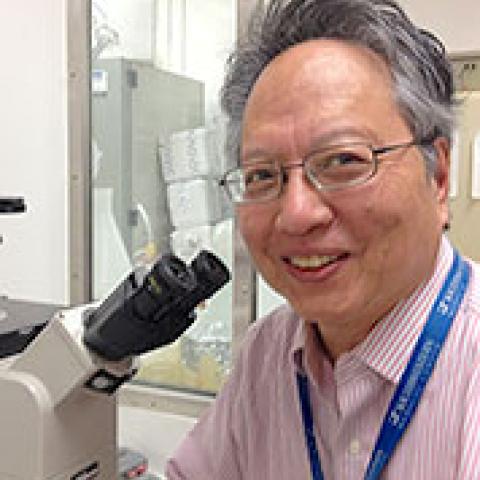 Christopher Lu at microscope