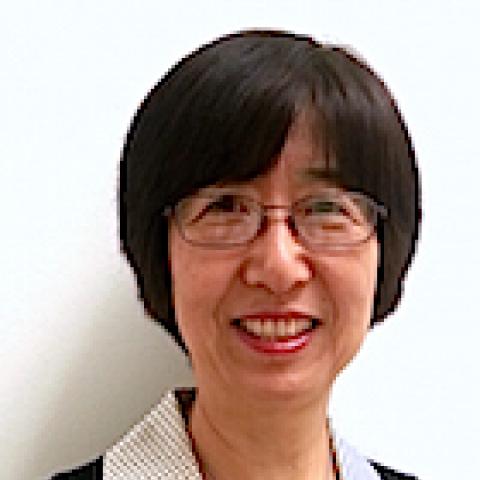 Hui Qiao (Susan) Sun, Ph.D.