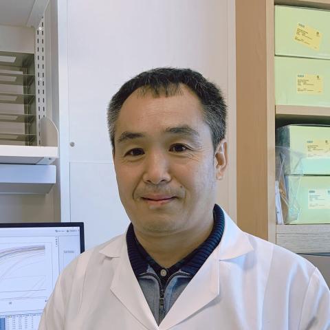 Jixue Li, Ph.D.