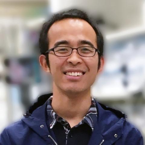 Wei Peng, Post-Doc, UTSW