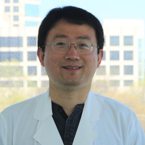 Faya Zhang, Ph.D.