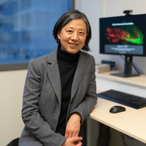 Yingxi Lin, Ph.D.