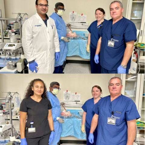 Two pictures, 4 people in each, standing in a lab.