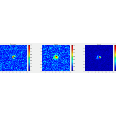 Comparison of three scans, too small to read.