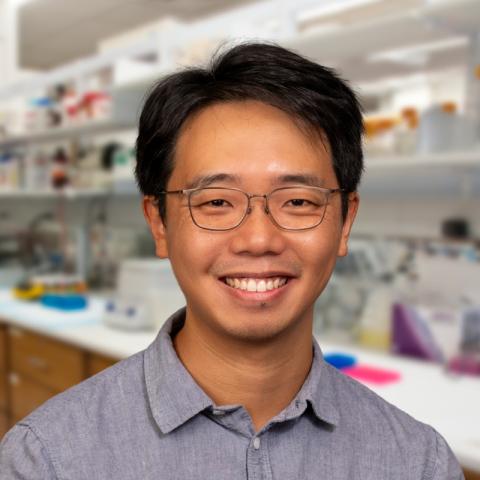 a man with dark hair and glasses wearing a gray shirt standing in a laboratory