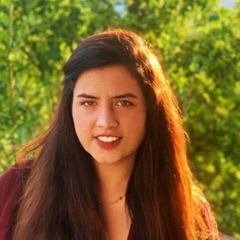 a woman with long brown hair with sun shining from behind