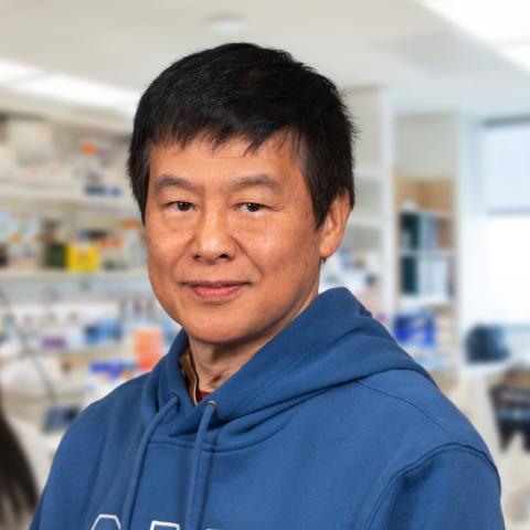 Shang Kui Xie wearing a blue hoodie standing in a laboratory