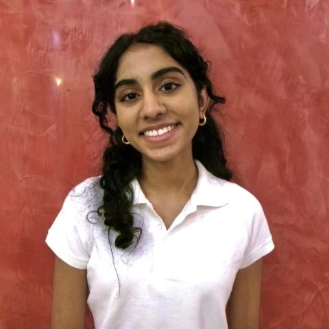 Sansu Anand